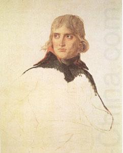 Jacques-Louis  David General Bonaparte (mk05) china oil painting image